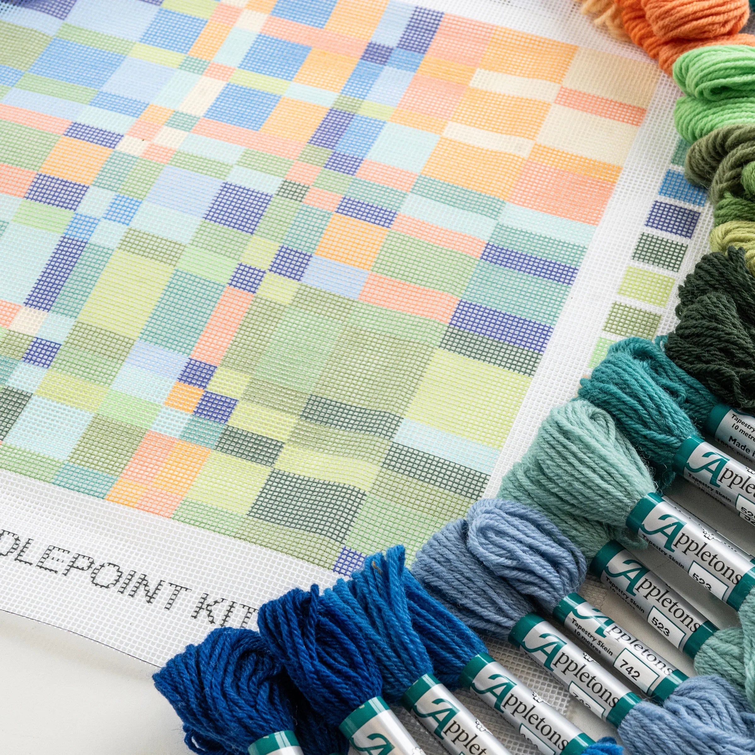 Detail of a colorful needlepoint kit and its accompanying Appletons wool. Designed and sold by Daisy’s Needlepoint Kits.